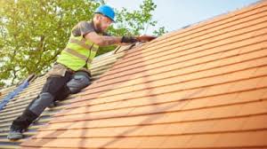 Best Roof Moss and Algae Removal  in Cherokee, IA